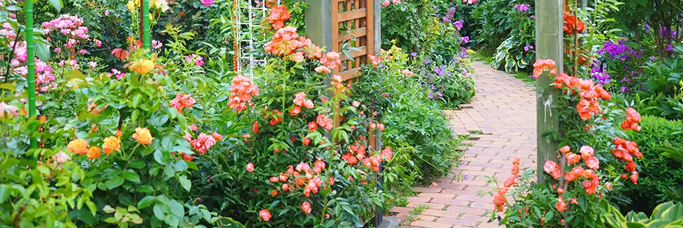 Jardin avec une variété de fleurs