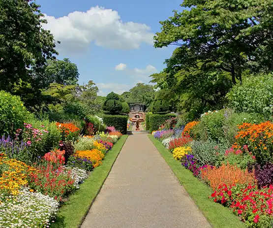 Jardin avec une allée centrale et des fleurs
