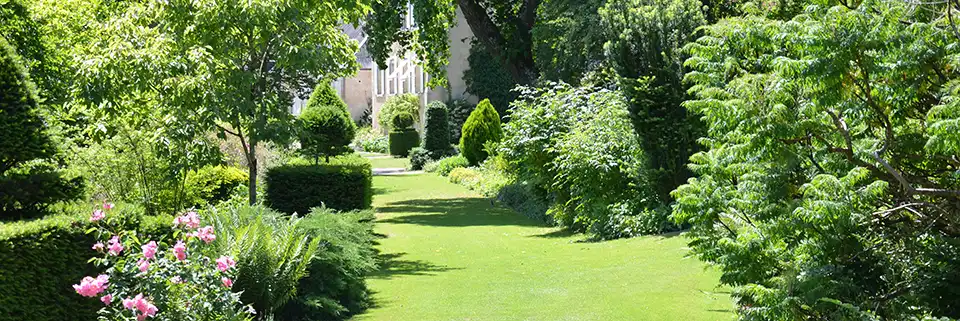 Jardin à l'anglaise verdoyant