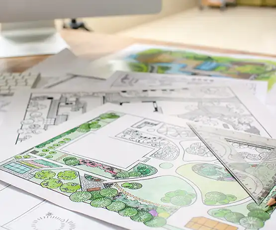 plan d'un jardin sur papier