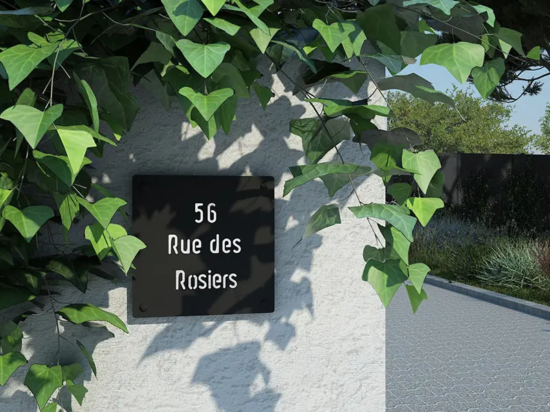 Entrance plate